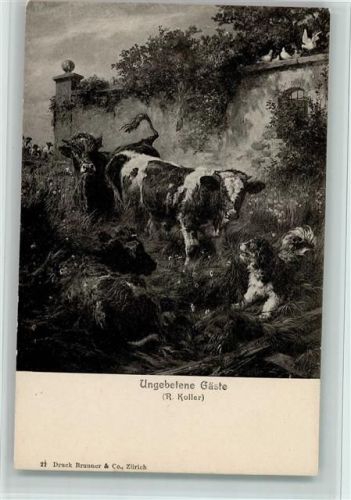 Nr. 21 Verlag Brunner & Co -Ungebetene Gäste - Kühe und Hund, gute Erhaltung