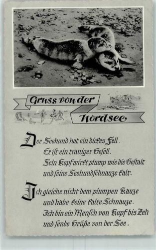 Gruss von der Nordsee und Gedicht dazu AK