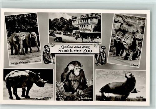 Gesellschaftshaus und Tiere, sehr gute Erhaltung