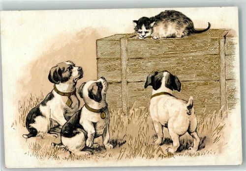 3 Welpen und eine Katze , Golddruck