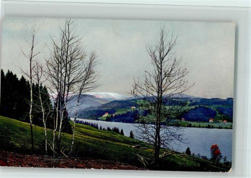 W7820 Titisee Serie 166 Nr. 2967 - - gute Erhaltung AK Nenke & Ostermaier