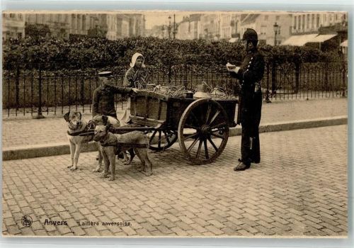 Antwerpen Hundekarren Milchträgerin Polizist