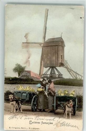 1902 Laitieres flamandes Gregoire Serie 2 Foto AK Mühle Milchkannen