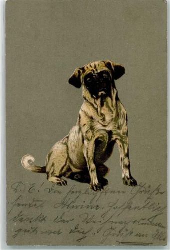 1902 Mops