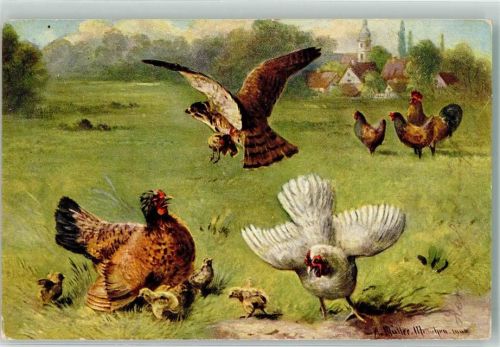 1904 Raubvogel greift sich ein Küken Serie 216