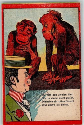 1899 Affe Spruch: Du bist den zweien hier, in einem nicht gleich, du bist bleich
