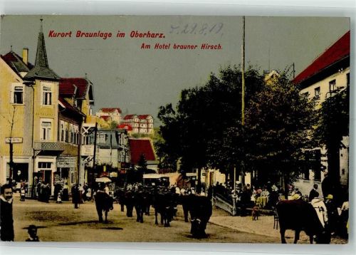 Braunlage 1919 Hotel Brauner Hirsch