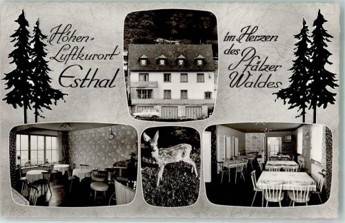 Esthal Gasthaus Pension Michelsberg Reh