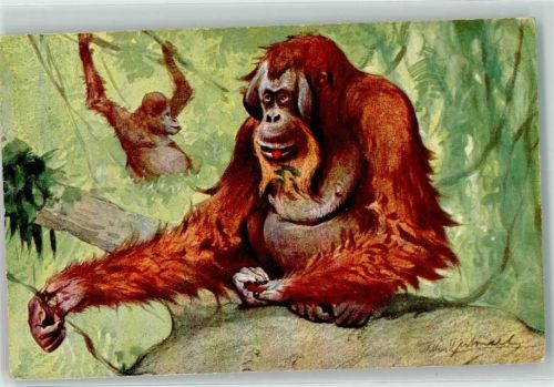 Orang-Utans sign Serie 460