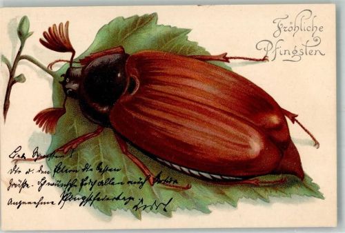 1907 Pfingsten