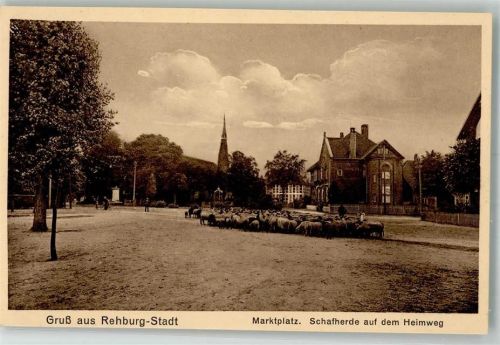 Bad Rehburg Marktplatz Schafherdeauf dem Heimweg