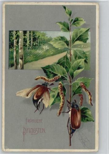 Pfingsten - Litho 1908 AK