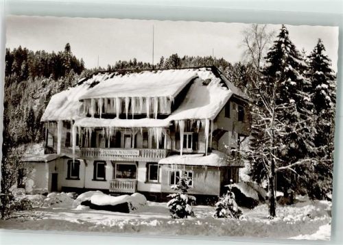 Hinterzarten Pension Waldheim Winter