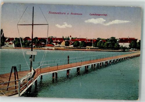 88149 W8993 Nonnenhorn 1919 Foto AK Hafen Landungssteg
