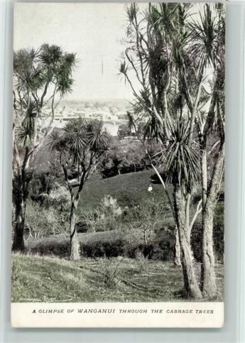 Wanganui A Glimpse of Wanganui Trough the Cabbage Trees
