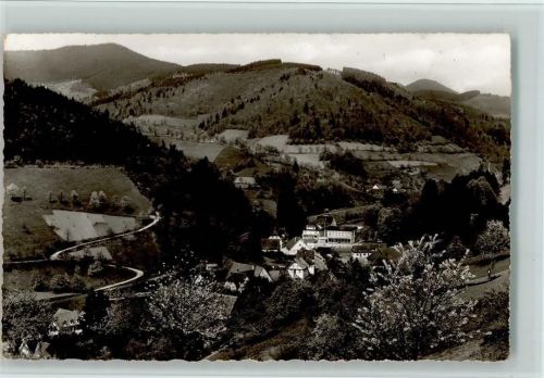 Bad Peterstal-Griesbach Blick zum Sanatorium