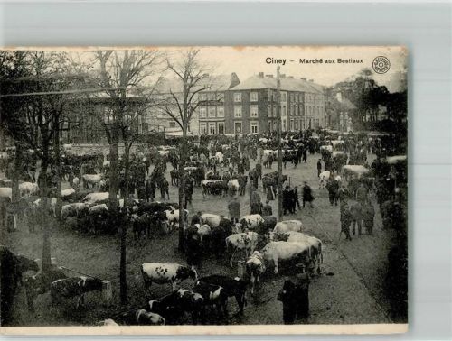 Ciney 1918 Marktszene Viehmarkt FeldpostWK I Übungsplatz Gericht
