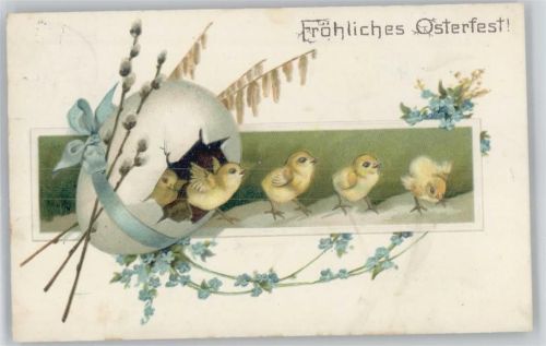 1907 Küken schlüpfen aus einem großen Ei, vergissmeinnicht, litho