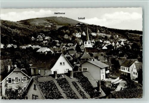 Alsbach Gesamtansicht mit Melibocus und Schloß