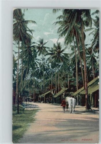 Malaysia Penang Native Village - Werbung Medol gegen Räude - ca 1910 AK