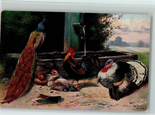 Serie 255 Pfau, Truthahn und Hühner - Geflügel