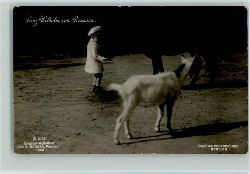 Nr. 2132 Photochemie - 1908 Prinz mit den Ziegen