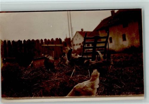 Bauernhaus mit einem Misthaufen, Hühner Foto ca 1925 AK
