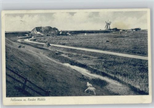 Pellworm Windmühle