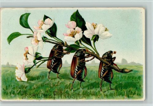 Pfingsten - drei Maikäfer tragen einen Blütenast litho
