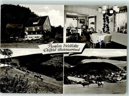 Deifeld Pension Welticke