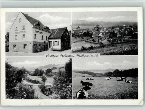 Mülheim Gasthaus Hellenthal Gesamtansicht Ortsansichten Kühe 4-Bildaufnahme