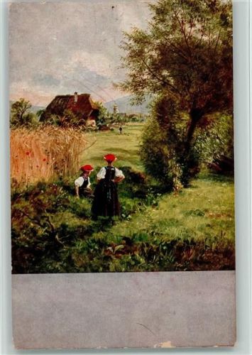 Sommertag im Schwarzwald, schwarzwaldhaus, Trachten Hasemann Künstler Serie VII Nr. 2 AK Hasemann 1921 Künstlerkarte