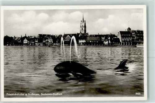 Friedrichshafen 1938 Bodensee Walfisch