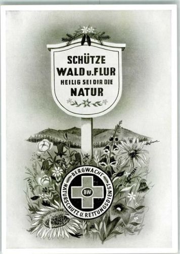 Schwarzwald Naturschutz Rettungsdienst sign. Hafranz AK