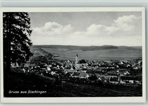 Dischingen Gesamtansicht