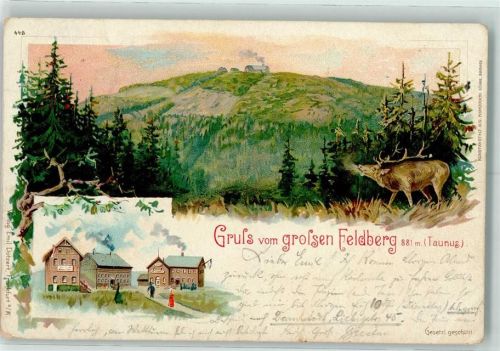 Feldberg 1899 Großer Feldberg Hirsch