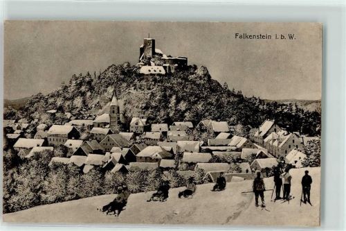 Falkenstein Rodler Skiläufer Burg Falkenstein Winter