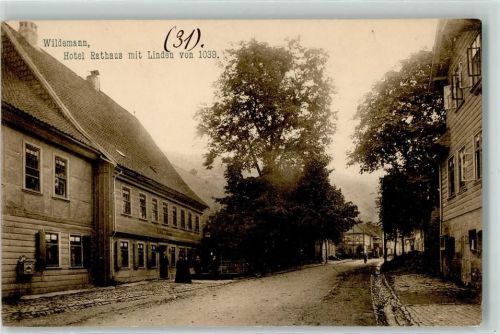 Wildemann 1907 Hotel Rathaus mit Linden