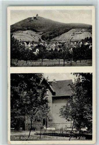 Auerbach 1933 Cafe und Fremdenheim "Waldhaus" AK