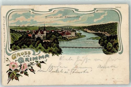 Grimma 1907 Blick von der Elisenhöhe Gruss Blumen