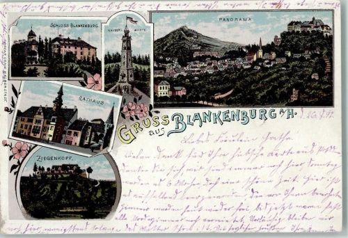 Blankenburg 1897 Gruss aus - Kaiserwarte, Rathaus, Ziegenkopf AK gute Erhaltung AK