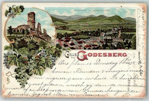 53111 W5300 Bad Godesberg 1897 Lithographie Godesburg Siebengebirge Weintrauben