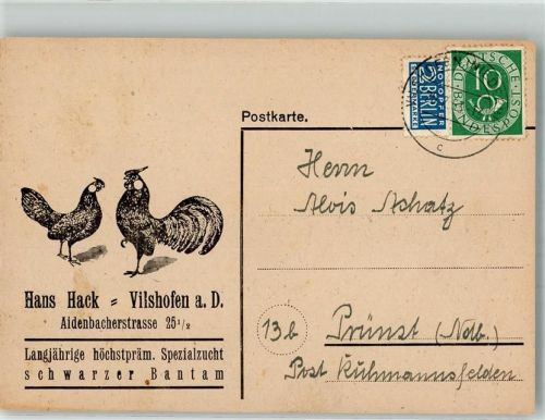Vilshofen 1953 Spezialzucht schwarzer Bantam Werbung