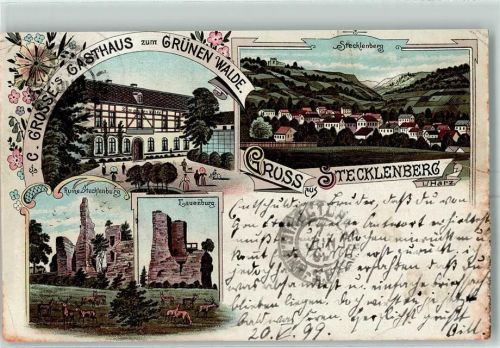Stecklenberg 1899 C. Grosses Gasthaus Zum Grünen Walde Stecklenberg Ruine Stecklenburg Lauenburg Lithographie