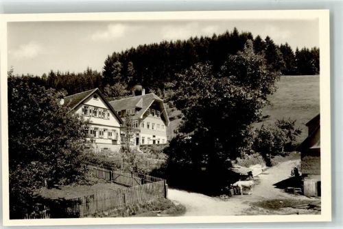 Schwarzenberg Sonnenwinkel Schwarzwaldhaus Rindertränke Kuh