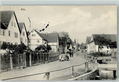 Elm 1913