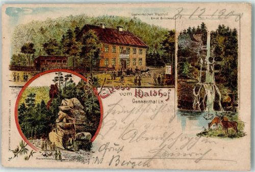 Gemkenthal 1900 Gasthaus Waldhof Marienfelsen Wasserfall Reh Hirsch