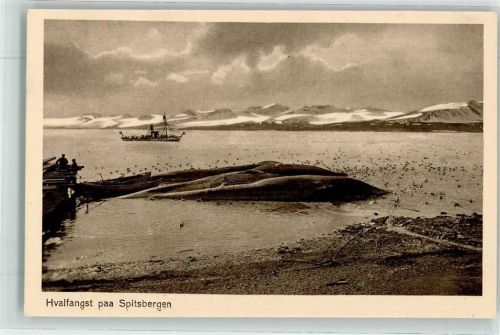 Svalbard Walfang Hvalfangst paa Spitzbergen Aufnahme Paul Ritter / Bergen Nr. 469 Photogravure