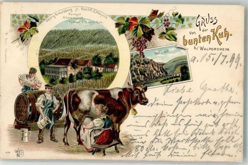 53474 W5483 Walporzheim 1898 Gebrauchsspuren Gasthaus zur bunten Kuh Stall Melkerin Kuh Bunte Kuh Lithographie