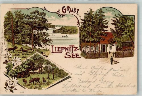 Wandlitz 1900 Liepnitz-See Wildwiese Forsthaus Liepnitz